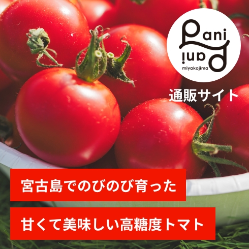 パニパニファーム